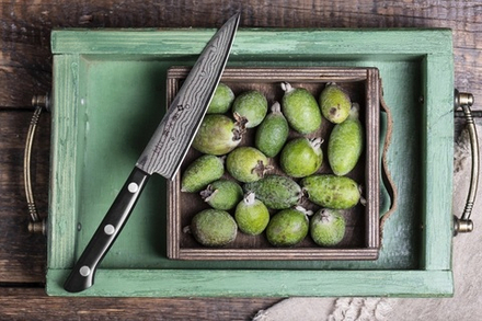 Японский кухонный нож Универсальный длина лезвия 135 мм сталь VG10, 37 слоев, рукоять стабилизированная древесина, заточка 8000 Серия Western Knife 37 Layered DP Damascus Tojiro F-333