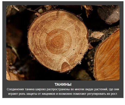 ЗИМНИЕ СКИДКИ ХИТ! Средство для старения древесины Holz Antix 2008 1 л Borma 3720