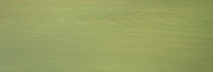 ЗИМНИЕ СКИДКИ! Декоративная ВОСКОВАЯ лазурь / Масло для фасадов Holzwachs Lasur 750 мл 3320 цвет 132 олива, наружные работы Borma R3320-3