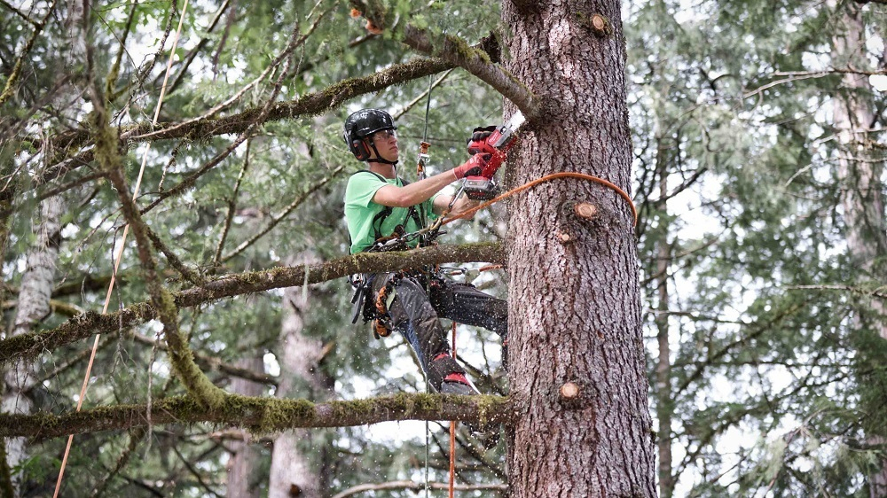 АКЦИЯ ВСЕ В САД! Комплект № 5: Аккумуляторная цепная пила FHS20-552 HATCHET, Аккумулятор HB5.5 5.5 Ач, Быстрое зарядное устройство M12-18 FC ПЛЮС Аккумулятор HB5.5 5.5 Ач в ПОДАРОК! Milwaukee M18 FUEL FHS20-552 4933480118 N0123-2AM