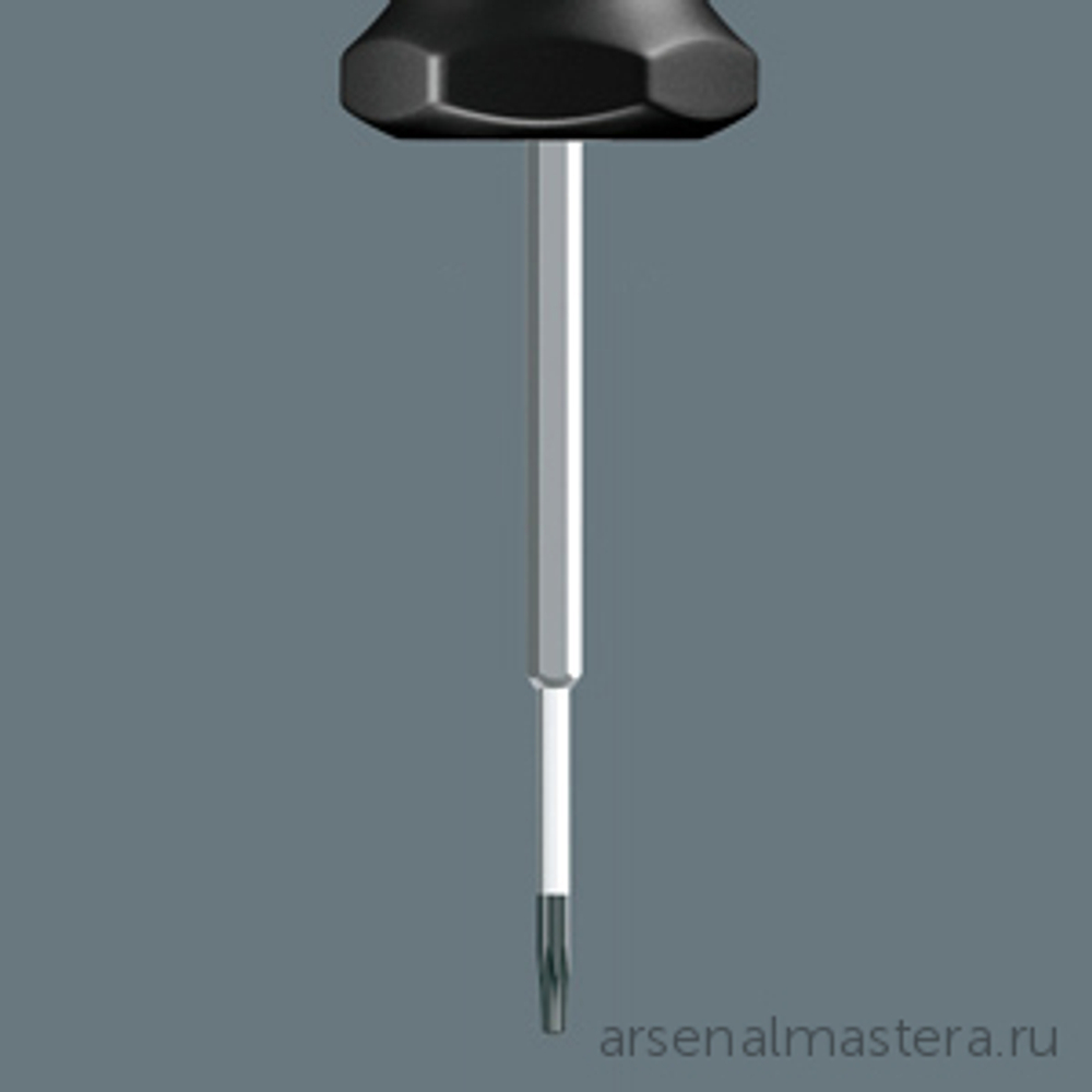 Динамометрический индикатор TORX PLUS 300, 6 IP 028040 WERA WE-028040