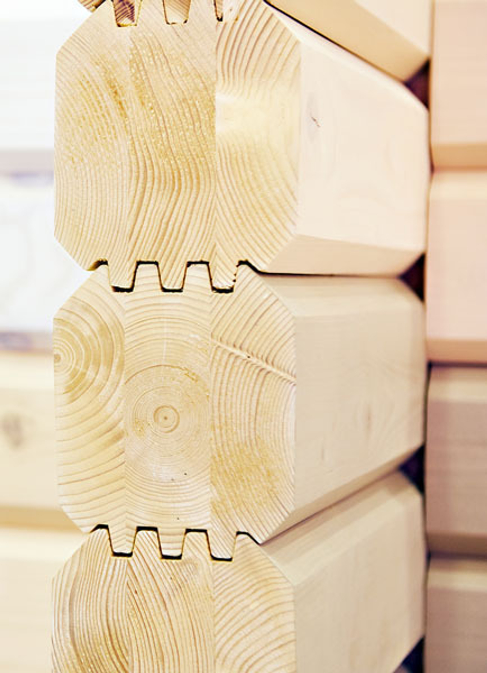 Новинка! Грунт для запечатывания торцов Borma Kantenschutz - Log Sealer 5 л для внутренних и наружных работ 0312