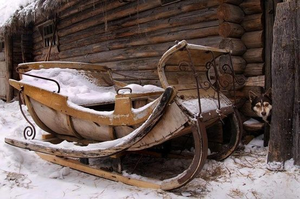 Сани и санки: варианты, конструкция, история, инструменты и технологии изготовления (фотообзор)