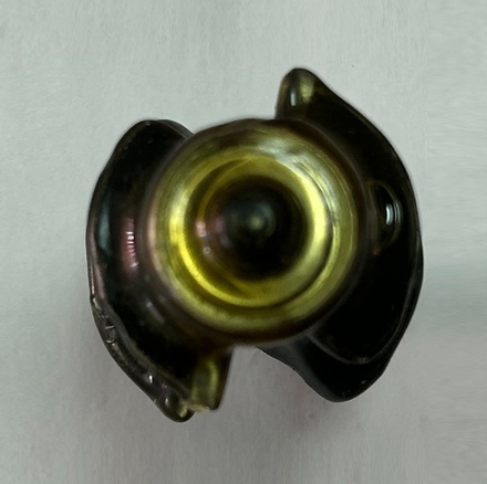 Фреза катушка фигурная R 6,3 D 31,8 B 19 Хвостовик 8 WP WoodPecker DIMAR T24015