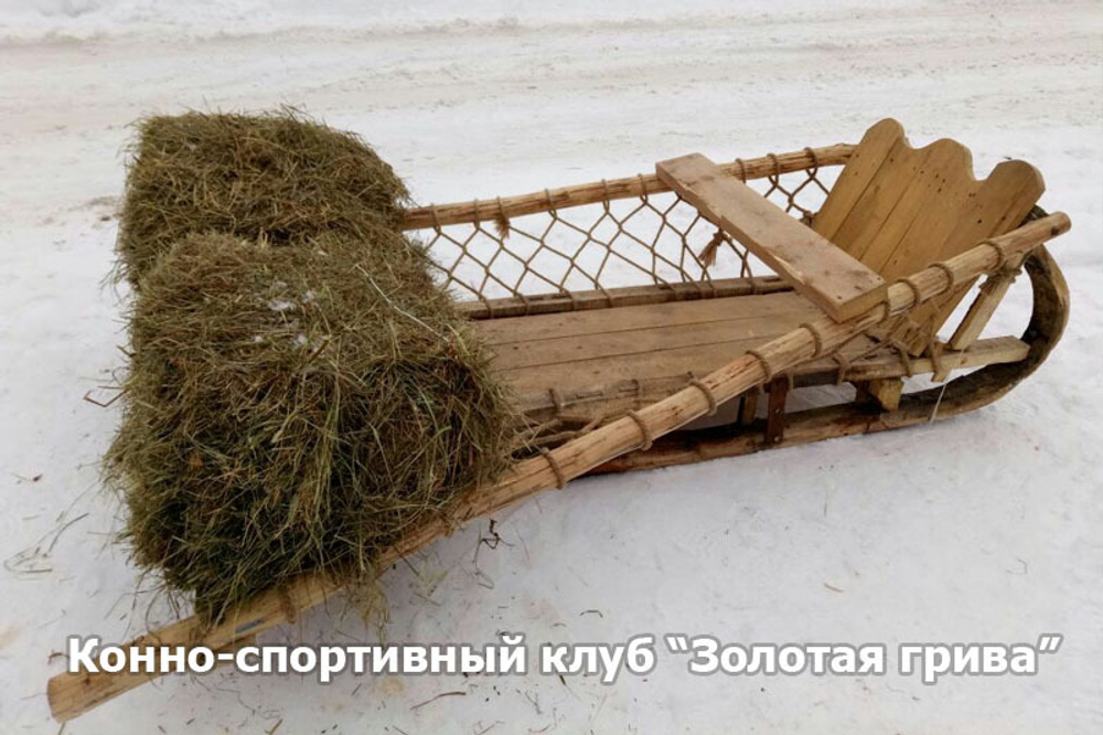 Сани и санки: варианты, конструкция, история, инструменты и технологии изготовления (фотообзор)