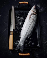 Новинка! Нож японский кухонный Янагиба Tojiro FUJI CUTLERY Ryutoku для сашими, длина лезвия 21 см, нержавеющая сталь, рукоять магнолия, заточка 5000 FC-575