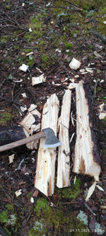 ХИТ! Топор валочный большой кованный ПЕТРОГРАДЪ модель Брянск топорище н24 М00020791