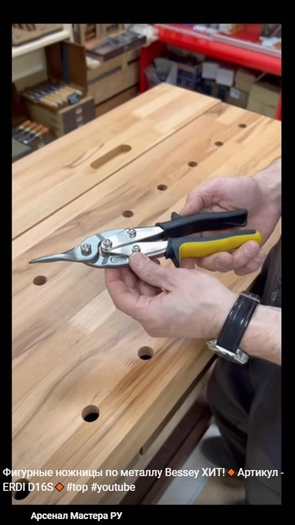 ХИТ! Фигурные ножницы по металлу BESSEY ER-D16S