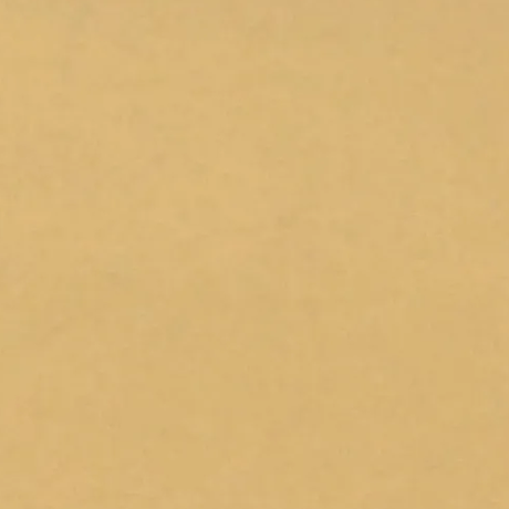 Новинка! Шпаклевка водная Borma Ecostucco в тубе 200 гр. цв.51 светлый дуб для внутренних работ 1510RO.200