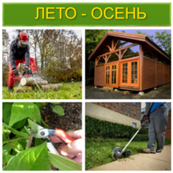 Загородный сезон ЛЕТО 2026 В РАЗГАРЕ: подборка полезных инструментов! Загородный сезон ЛЕТО 2026 В РАЗГАРЕ: подборка полезных инструментов!