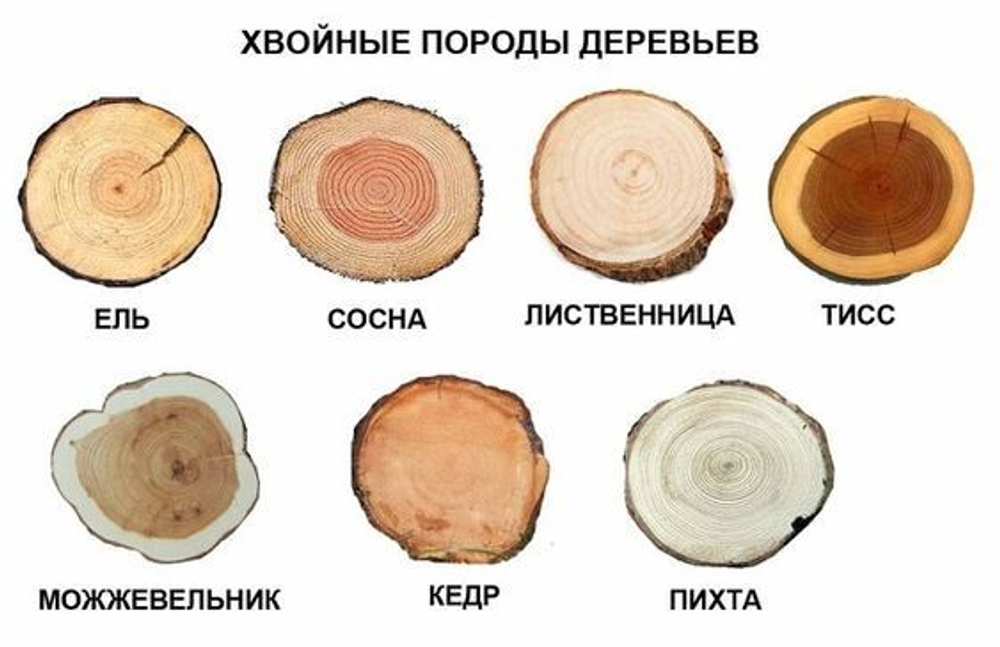 Изделия из СЛЭБОВ: примеры, варианты обработки, как изготовить, инструменты и оснащение. Фотообзор