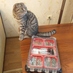 ХИТ! Органайзер компактный тонкий  Milwaukee PACKOUT 4932471065