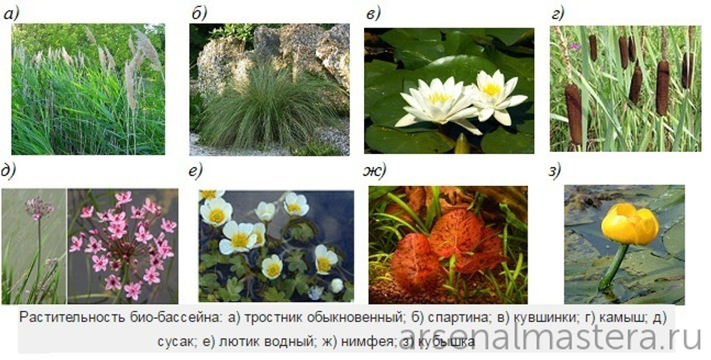Приусадебные постройки: гостевые дома, гаражи, веранды, бассейны, площадки для отдыха