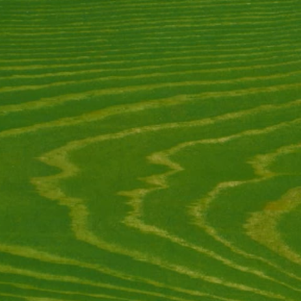 Новинка! Морилка для древесины HEMEL Aqua Decorative Colorant 1225H Зеленый, 2,5 л на водной основе, для внутренних и наружных работ 122525