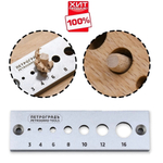 ХИТ! Пробочник Dowel Plate для цилиндрических шкантов D 3 - 16 мм ПЕТРОГРАДЪ М00022711